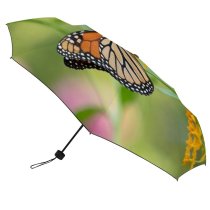 yanfind Umbrella Manual Growth Wing Leaf Beauty Fragility Wild Focus Butterfly Monarch Pollination Wildlife Windproof waterproof anti-ultraviolet protection golf umbrella