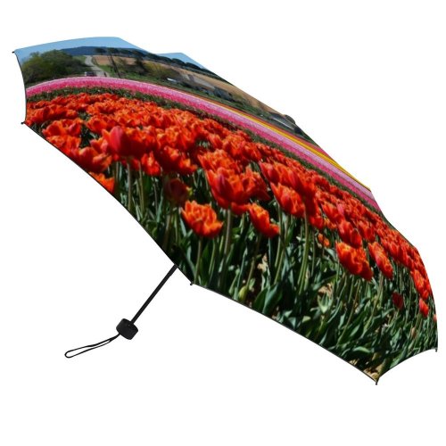 yanfind Umbrella Manual Landscaped Non D'Azur Agriculture Growth Rural Place Union Provence Beauty Journey April Windproof waterproof anti-ultraviolet protection golf umbrella