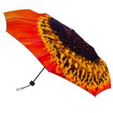 yanfind Umbrella Manual Honey Pollen Botany Beauty Bloom Springtime Bee Autumn Vibrant Petal Sunlight Summer Windproof waterproof anti-ultraviolet protection golf umbrella