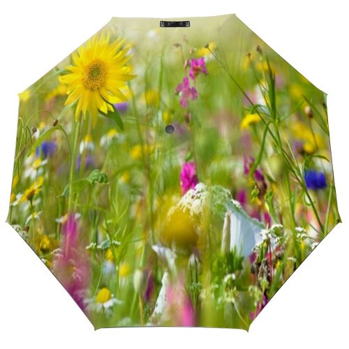 yanfind Umbrella Manual Pollen Growth Heat Botany Stage Rural Stem Living Beauty Fragility Hay Vitality Windproof waterproof anti-ultraviolet protection golf umbrella