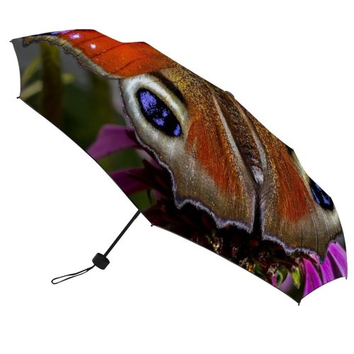 yanfind Umbrella Manual Finland Focus Butterfly Wildlife Outdoors Foreground Insect Windproof waterproof anti-ultraviolet protection golf umbrella