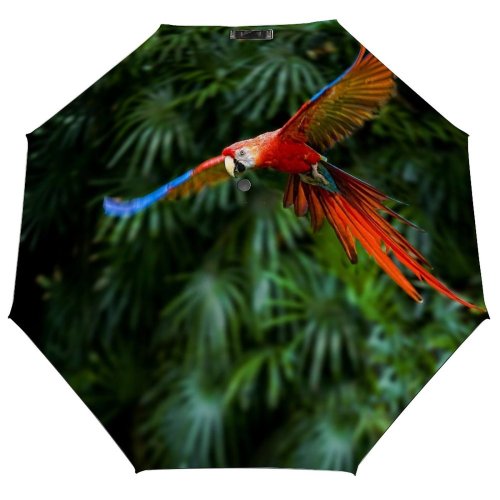 yanfind Umbrella Manual Spread Wild Macaw Focus Mid Parrot Wildlife Outdoors Freedom Singapore Windproof waterproof anti-ultraviolet protection golf umbrella