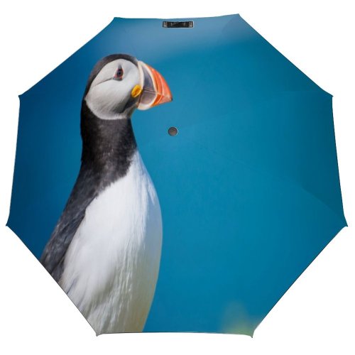 yanfind Umbrella Manual Cute Island Fish Wing Perfection Beauty Bird's Pembrokeshire Springtime Wilderness Wales Natural Windproof waterproof anti-ultraviolet protection golf umbrella