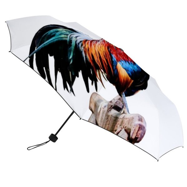 yanfind Umbrella Manual Space Studio Chicken Bird Shot Rooster Windproof waterproof anti-ultraviolet protection golf umbrella