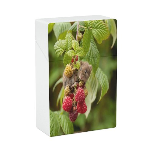 yanfind Cigarette Case Bank Outdoors Wildlife Woodland Vole Beauty Tree UK Branch Fruit Rodent Hard Plastic Crushproof Cigarette Case
