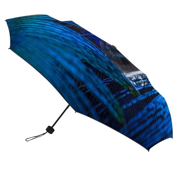 yanfind Umbrella Manual Beauty Evidence Purple Feather Bird Lightweight Simplicity Focus Weight East Selective Windproof waterproof anti-ultraviolet protection golf umbrella