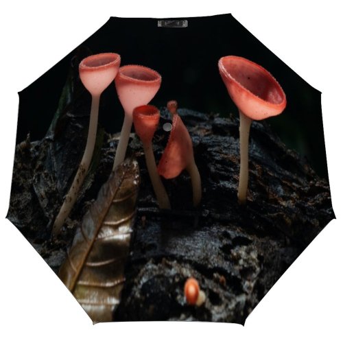 yanfind Umbrella Manual Growth Tree Beauty Natural Champagne Fungus Humidity Rainy Rainforest Tropical Mushroom Windproof waterproof anti-ultraviolet protection golf umbrella