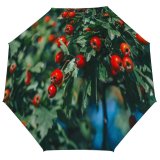 yanfind Umbrella Manual Hawthorn Growth Hedge Leaf England Herb Bush Bunch Wellbeing Focus Biology Windproof waterproof anti-ultraviolet protection golf umbrella
