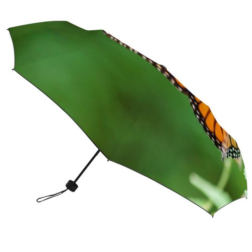 yanfind Umbrella Manual Social Antonio Wing Colony Issues Texas Beauty Awe Hemisphere Travel State Windproof waterproof anti-ultraviolet protection golf umbrella