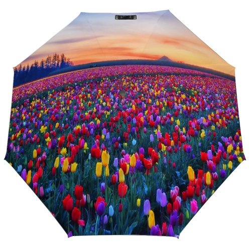 yanfind Umbrella Manual Growth Rural Dramatic Beauty Tulip Farm Sky Oregon Scenery Landscape Scene Cloud Windproof waterproof anti-ultraviolet protection golf umbrella