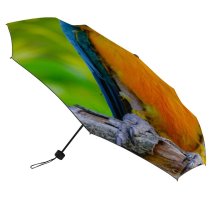 yanfind Umbrella Manual Cute Wing Beauty Exoticism Feather Bird Rainforest Gold Macaw Tropical Portrait Vibrant Windproof waterproof anti-ultraviolet protection golf umbrella
