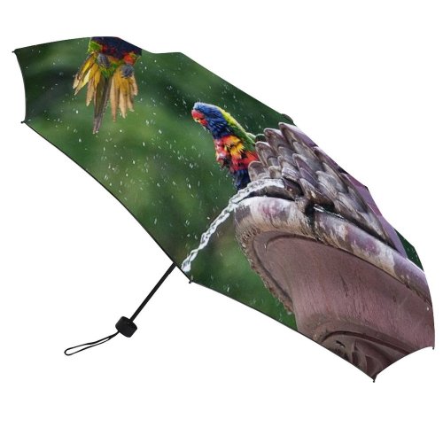 yanfind Umbrella Manual Garden Tranquility Rainbow Lorikeet Botanical Spread Bird Australia Togetherness Focus Adelaide Wildlife Windproof waterproof anti-ultraviolet protection golf umbrella