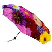 yanfind Umbrella Manual Beauty Perennial Directly Bloom Vitality July Daisy Natural Spectrum Annual Vibrant Attribute Windproof waterproof anti-ultraviolet protection golf umbrella