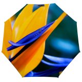 yanfind Umbrella Manual Botany Leaf Living Beauty Fragility Defocused Paradise County Exoticism Diego Foreground Windproof waterproof anti-ultraviolet protection golf umbrella