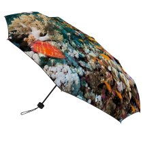 yanfind Umbrella Manual Transparent Fish Coral Undersea Hard Scuba Moving Sea Egypt Underwater Tropical Soft Windproof waterproof anti-ultraviolet protection golf umbrella