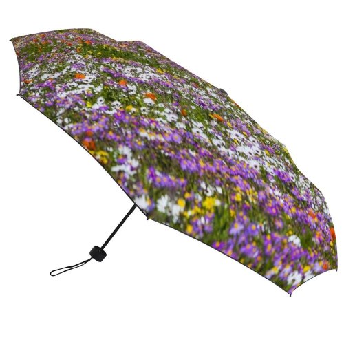 yanfind Umbrella Manual Space Africa Tranquility Growth Idyllic Rural Beauty Springtime Scenics Agricultural Field Scenery Windproof waterproof anti-ultraviolet protection golf umbrella