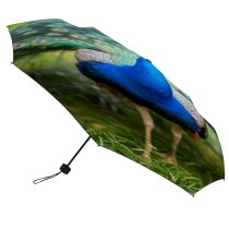yanfind Umbrella Manual Non Pride Turquoise Beauty Vitality Cockerel Tail Feather Bird Urban Vibrant Windproof waterproof anti-ultraviolet protection golf umbrella