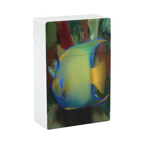 yanfind Cigarette Case Undersea Beauty Sea Underwater Angelfish Wild Vibrant Archival Wildlife Scale Blooded Individuality Hard Plastic Crushproof Cigarette Case