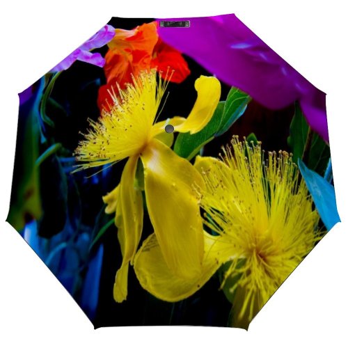 yanfind Umbrella Manual Simplicity Stamen Growth Tranquility Beauty Arrangement Flower Shot Leaf France Studio Windproof waterproof anti-ultraviolet protection golf umbrella
