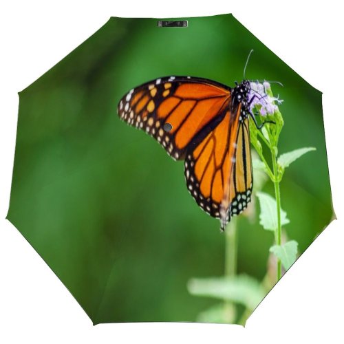 yanfind Umbrella Manual Social Antonio Wing Colony Issues Texas Beauty Awe Hemisphere Travel State Windproof waterproof anti-ultraviolet protection golf umbrella