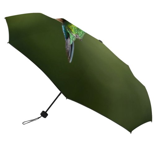 yanfind Umbrella Manual Argentina Wing Flapping Bird Rainforest Wild Hovering Hummingbird Wildlife Outdoors Flying Windproof waterproof anti-ultraviolet protection golf umbrella