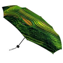 yanfind Umbrella Manual Agriculture Growth Rural Beauty Scenics High Cai Terraced Natural Foliage Field Rice Windproof waterproof anti-ultraviolet protection golf umbrella