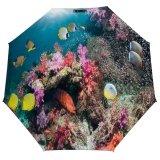 yanfind Umbrella Manual Relaxation Tranquility Fish Coral Undersea Beauty Awe Ecosystem Scenics Andaman Sea Exoticism Windproof waterproof anti-ultraviolet protection golf umbrella