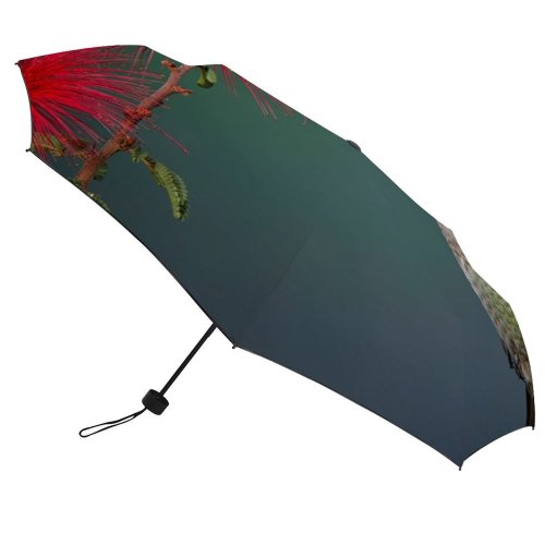yanfind Umbrella Manual Arizona Anna's Hummingbird USA Peoria Bird Windproof waterproof anti-ultraviolet protection golf umbrella