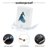 yanfind Cigarette Case Cute Fish Wing Perfection Beauty Awe Ornithology Feather Bird East Hovering Beak Hard Plastic Crushproof Cigarette Case