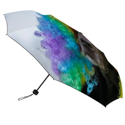 yanfind Umbrella Manual Chocolate Glasses Dog Novelty USA Humor Windproof waterproof anti-ultraviolet protection golf umbrella