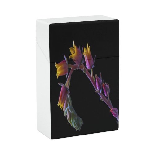 yanfind Cigarette Case Studio Stem Fragility Shot California Succulent Plant USA Flower Freshness Hard Plastic Crushproof Cigarette Case