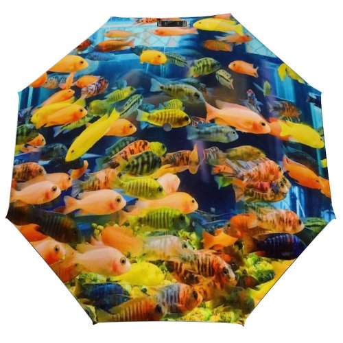 yanfind Umbrella Manual Space Butterflyfish Tranquility Idyllic Fish Undersea Living Beauty Scenics Sea Underwater Focus Windproof waterproof anti-ultraviolet protection golf umbrella