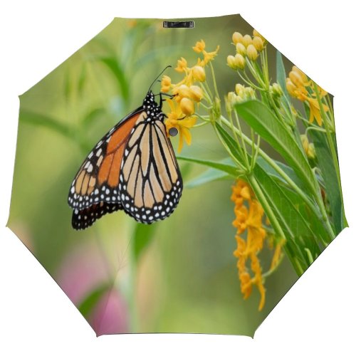yanfind Umbrella Manual Growth Wing Leaf Beauty Fragility Wild Focus Butterfly Monarch Pollination Wildlife Windproof waterproof anti-ultraviolet protection golf umbrella