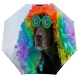 yanfind Umbrella Manual Chocolate Glasses Dog Novelty USA Humor Windproof waterproof anti-ultraviolet protection golf umbrella