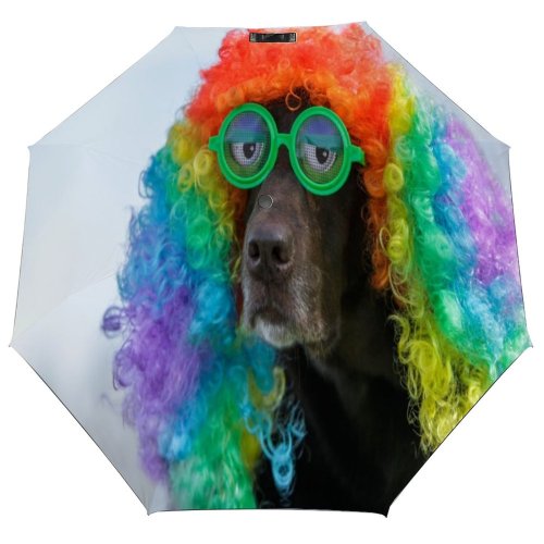 yanfind Umbrella Manual Chocolate Glasses Dog Novelty USA Humor Windproof waterproof anti-ultraviolet protection golf umbrella