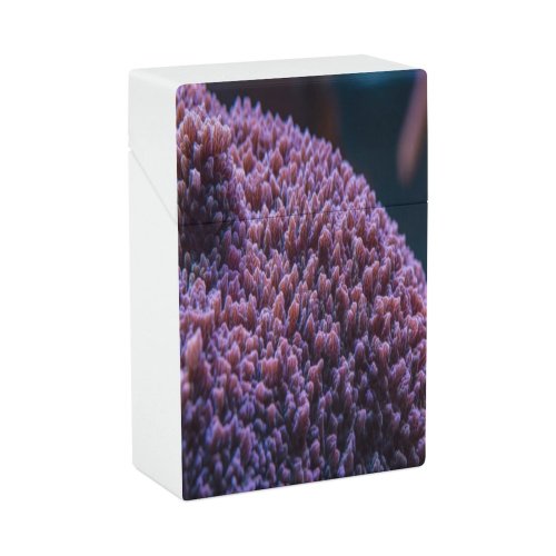 yanfind Cigarette Case Purple Cnidarian Lifestyles Undersea Sea Abstract Polyp Beauty Coral Organism Reef Hard Plastic Crushproof Cigarette Case
