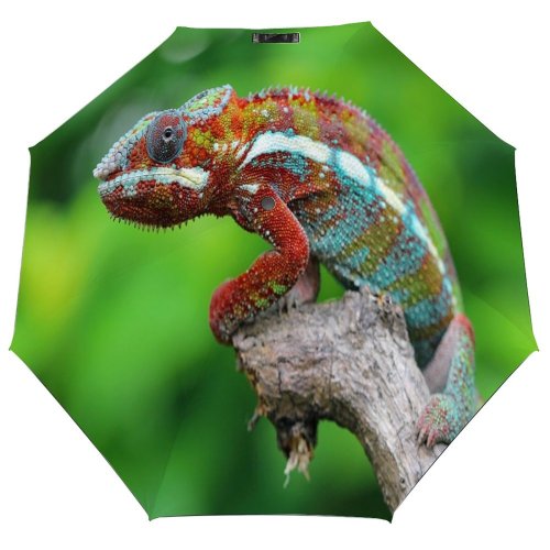 yanfind Umbrella Manual Space Beauty Defocused Alertness Wild Side Portrait Wildlife Outdoors Reptile Branch Plant Windproof waterproof anti-ultraviolet protection golf umbrella