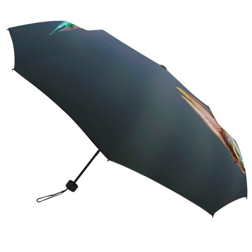 yanfind Umbrella Manual Emerald Non Glowing Ruby Way Wing Beam Spread Bird Urban Togetherness Hovering Windproof waterproof anti-ultraviolet protection golf umbrella