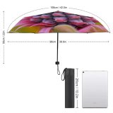 yanfind Umbrella Manual Pastel Freshness Healthy Plant Fruit Outdoors Growth Tropical Beauty Pineapple Flower Windproof waterproof anti-ultraviolet protection golf umbrella