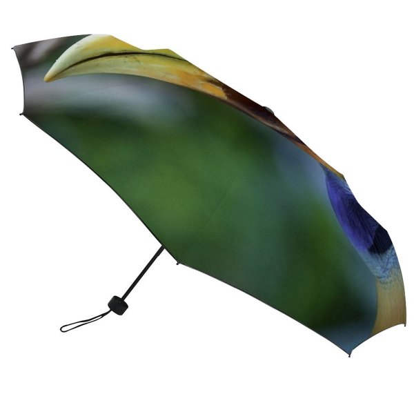 yanfind Umbrella Manual Hornbill York Bird Wild Beak City Wildlife Outdoors USA State Windproof waterproof anti-ultraviolet protection golf umbrella