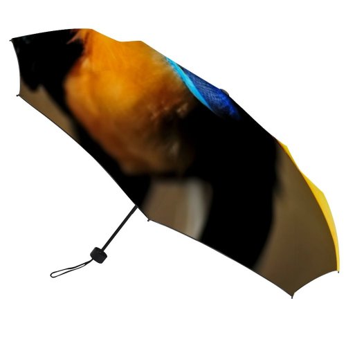 yanfind Umbrella Manual Space Hornbill Wrinkled Beauty Exoticism Rhyticeros Feather Bird Rainforest Tropical Portrait Windproof waterproof anti-ultraviolet protection golf umbrella