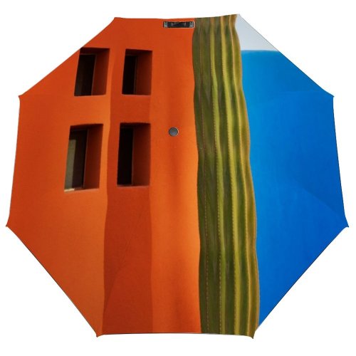 yanfind Umbrella Manual Baja Latin Window Sur Cactus Built Structure Wall Building Decoration Sunny Windproof waterproof anti-ultraviolet protection golf umbrella