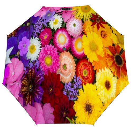 yanfind Umbrella Manual Beauty Perennial Directly Bloom Vitality July Daisy Natural Spectrum Annual Vibrant Attribute Windproof waterproof anti-ultraviolet protection golf umbrella