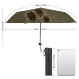 yanfind Umbrella Manual Hertford Cute Teasel Perching Wing Beauty Variegated England Wilderness Springtime Songbird Finch Windproof waterproof anti-ultraviolet protection golf umbrella