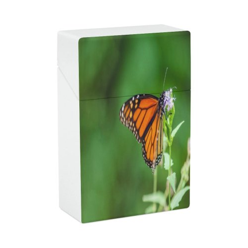 yanfind Cigarette Case Social Antonio Wing Colony Issues Texas Beauty Awe Hemisphere Travel State Hard Plastic Crushproof Cigarette Case