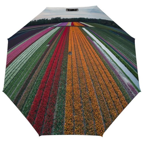yanfind Umbrella Manual Landscaped Non Bizarre Order Agriculture Social Dutch Place Idyllic Wonderlust Issues Beauty Windproof waterproof anti-ultraviolet protection golf umbrella