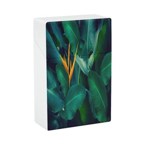 yanfind Cigarette Case Thammarat Growth Tree Botany Leaf Si Dark Beauty Springtime Bush Foliage Rainforest Hard Plastic Crushproof Cigarette Case