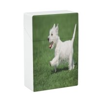 yanfind Cigarette Case Cheerful Dog Outdoors Lawn Agricultural Running Side Field Vitality Grass Highland West Hard Plastic Crushproof Cigarette Case
