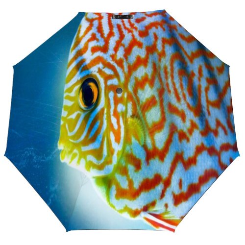 yanfind Umbrella Manual Aquaculture Fish Beauty Sea Underwater Side Focus Wildlife Individuality Foreground Windproof waterproof anti-ultraviolet protection golf umbrella