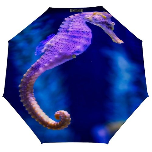 yanfind Umbrella Manual Seashell Internal Beach Starfish Travel Shell Art Coral Space Cute Aquarium Windproof waterproof anti-ultraviolet protection golf umbrella